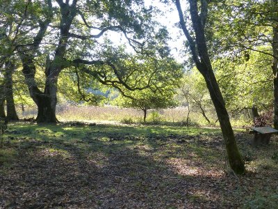 Le sentier du Marais du Gua