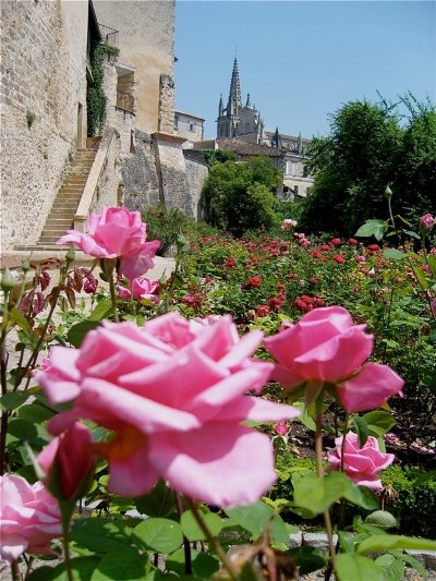 Ecobalade dans Bazas