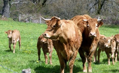 De Bialet aux deux Viaducs