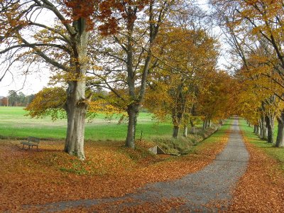 De la Forêt de la Groie aux bords de la Luire