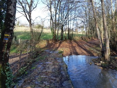 Le Salpot - Fressines