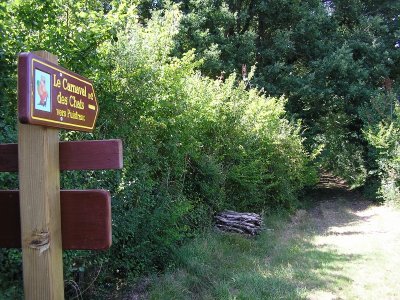 Le Carnaval des Chats - Boucle 12