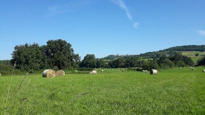 Circuit VTT n°10 - Montpezat