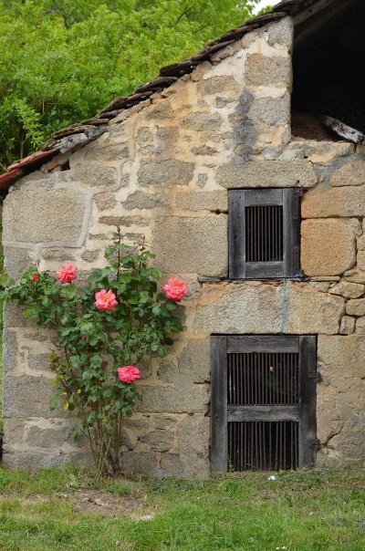 Circuit Pédestre N°26 : Les richesses d'Ars