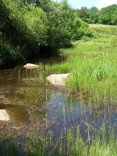 Circuit Pédestre N°30 CC : "Balade près des sources de la Gartempe"
