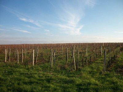 Saint Michel de Montaigne en écomobilité - Au pays des vignes et du philosophe
