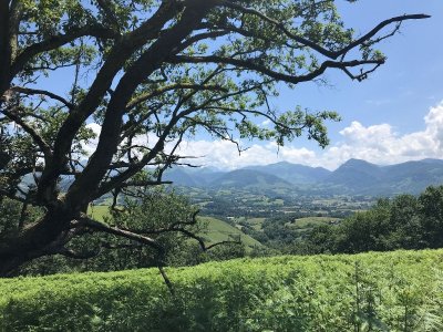 VTTAE N°3 - Le tour de Lanne en Barétous