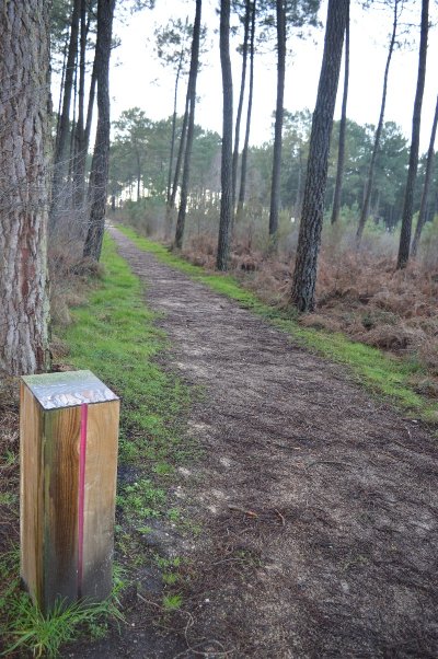 Balade à roulettes : Forêt de Migelane - La balade géologique