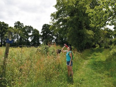 Gabaston : Les Artigues