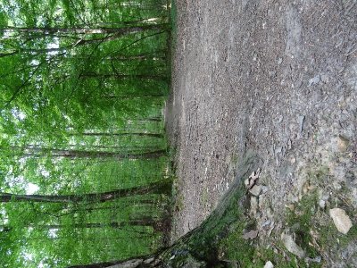 Circuit Henri Leroux