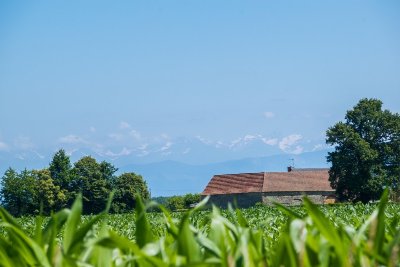 Uzein - Du Bruscos à l'Ayguelongue