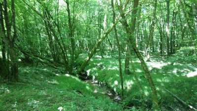 Boucle du ruisseau à la rivière Montpon