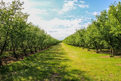 Cancon, en route vers l'église de Millac
