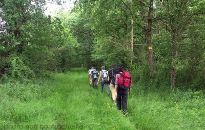 Sentier GR 48 : Montmorillon / Lussac-les-Châteaux