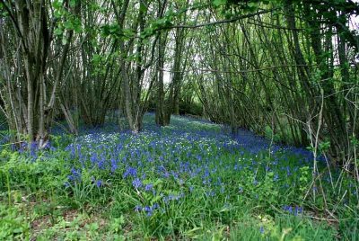 Sentier Les Hérissons