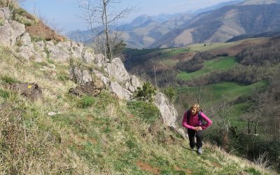 Tour d'Etchebar/Etxebarreko üngürua - Trail