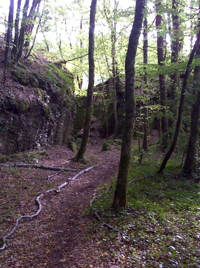 Etape Camps St Mathurin - St Geniez ô Merle