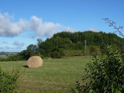 Carrère : boucle de la Palue