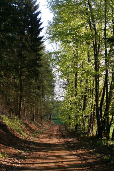 RANDO "Le vallon du Tranloup"