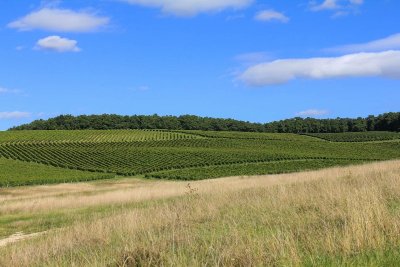 Le Saumont vers Montagnac, par les Grand et Petit Auvignon