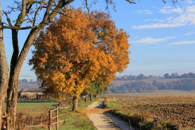 Cauderoue, sur les pas d'Henri IV