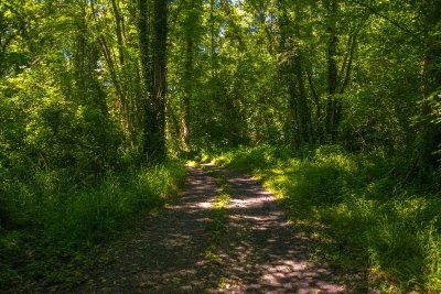 Siros - Le sentier du gave