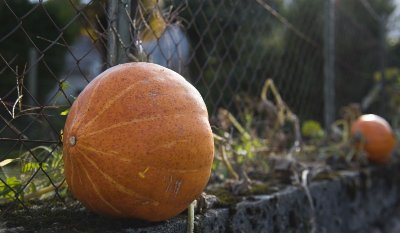 VTTAE N°13 - Chemins du gave d'Aspe