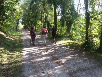 Boucle de Randonnée Nordique