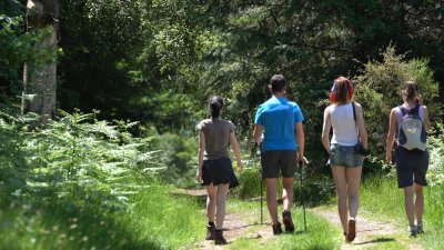 Circuit de randonnée : circuit des puits