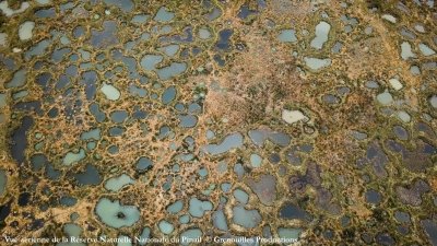 Des Bords de Vienne au Pinail - Circuit n°59