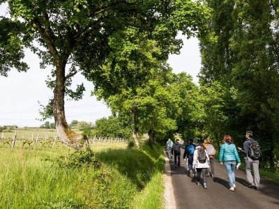 Boucle Saint Caprais-de-Bordeaux/ Quinsac/ Cambes