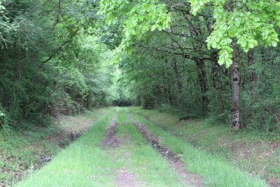 Circuit du pont des gouttes à Saint-Avit-Saint-Nazaire