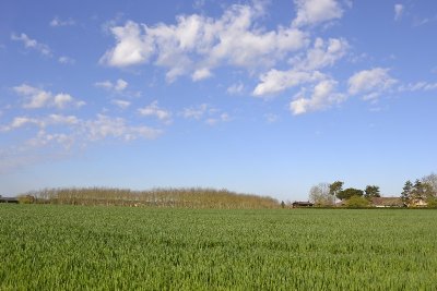 Boucle des deux Eglises