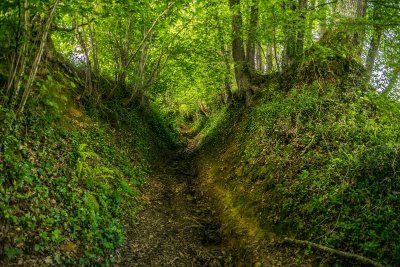 Saint-Faust - Coteaux de Las Hies