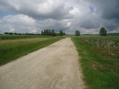 Balade à roulettes : de l'église de Moulis à la croix du Guitignan