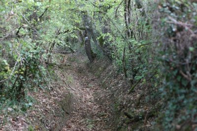 A Miramont-Sensacq, circuit du lac