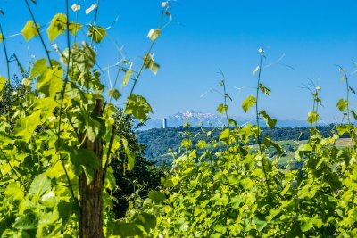 Arbus - Le Cap D’Arrandes