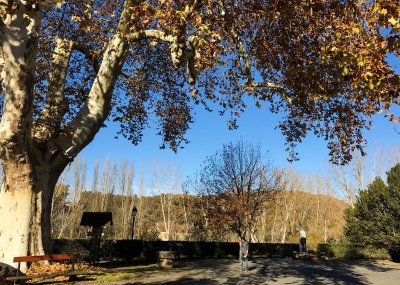 Boucle des Châteaux n° 22 / Aubas