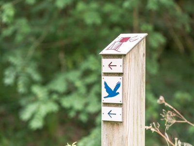 Les boucles des marais d'Arcins-Soussans