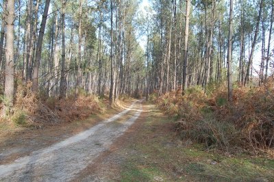 A Lévignacq, circuit du Moulin Neuf
