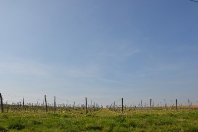 Boucle locale des Châteaux