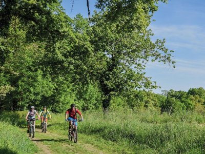 Higuères-Souye : entre Luy et Souye