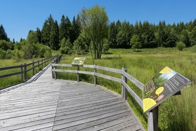 Le sentier de la tourbière du Col de la Blanche