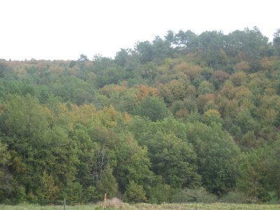 Boucle de Vialard n°8 /Saint Avit de Vialard