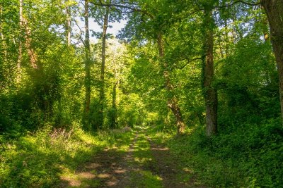 Poey-de-Lescar - Chemin de Malapet
