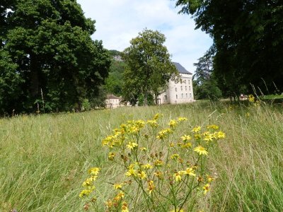 Boucle VTT Le Bugue-Audrix-Campagne (N°3)