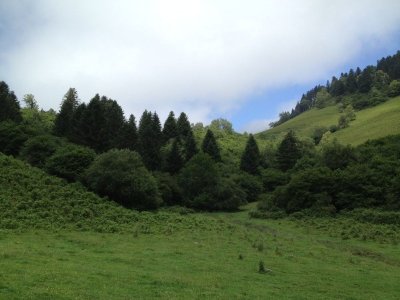 Les cercles de pierres au départ de Bilhères