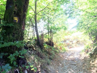 Sentier des Demoiselles