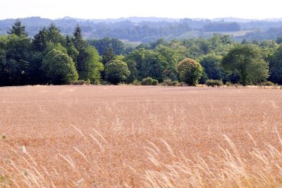 Sentier des templiers et des hospitaliers