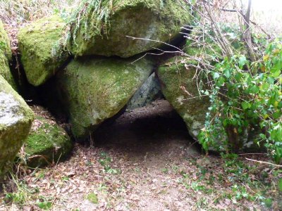 Circuit de l'étang des Brégères